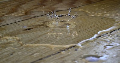 Panele podłogowe wodoodporne – czy warto inwestować?