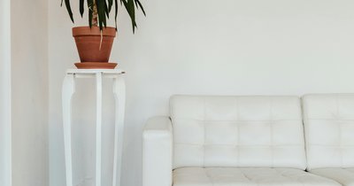 Białe meble do salonu – elegancja i jasność